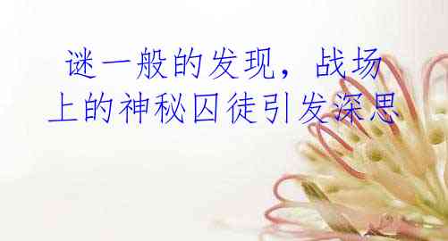 谜一般的发现,战场上的神秘囚徒引发深思