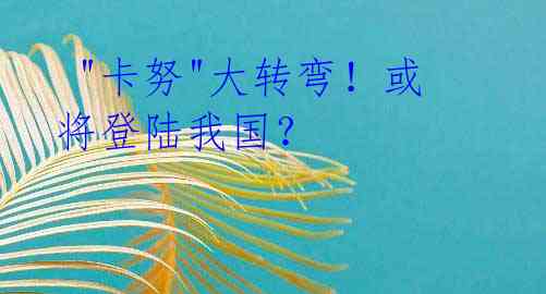 "卡努"大转弯!或将登陆我国?