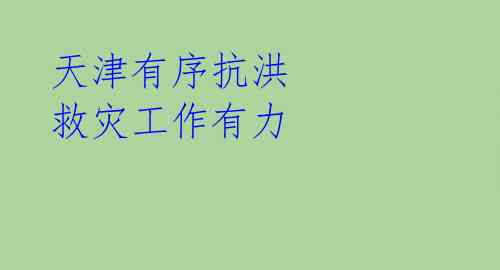 天津有序抗洪 救灾工作有力