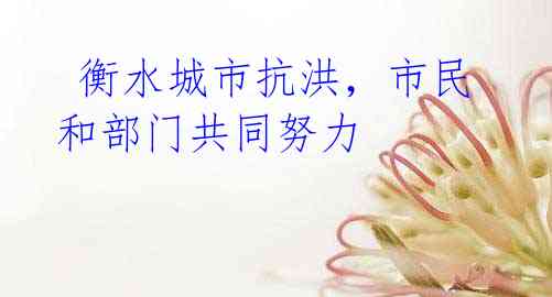 衡水城市抗洪,市民和部门共同努力