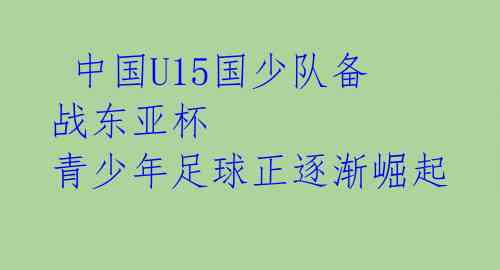 中国U15国少队备战东亚杯 青少年足球正逐渐崛起