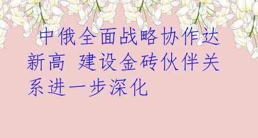  中俄全面战略协作达新高 建设金砖伙伴关系进一步深化 