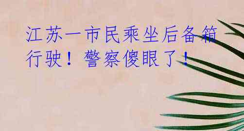 江苏一市民乘坐后备箱行驶!警察傻眼了!