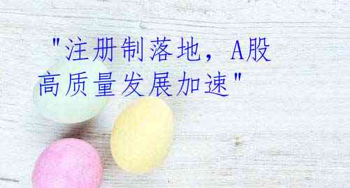  "注册制落地，A股高质量发展加速" 