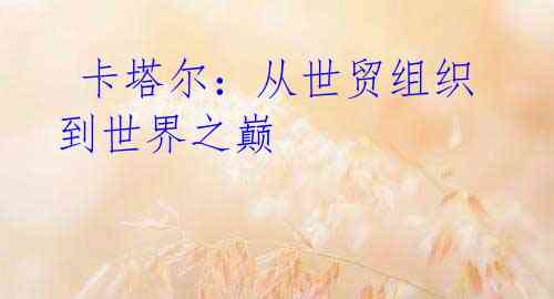 卡塔尔:从世贸组织到世界之巅