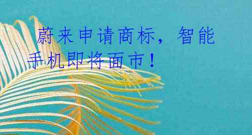 蔚来申请商标,智能手机即将面市!