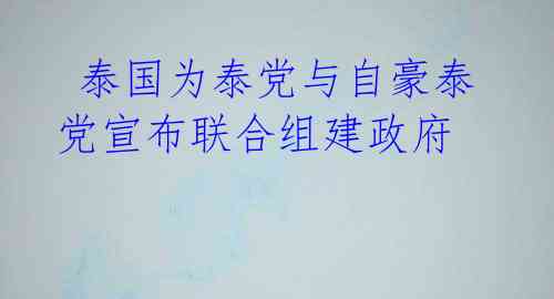  泰国为泰党与自豪泰党宣布联合组建政府 