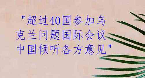 "超过40国参加乌克兰问题国际会议 中国倾听各方意见"