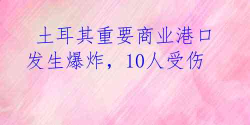  土耳其重要商业港口发生爆炸，10人受伤 