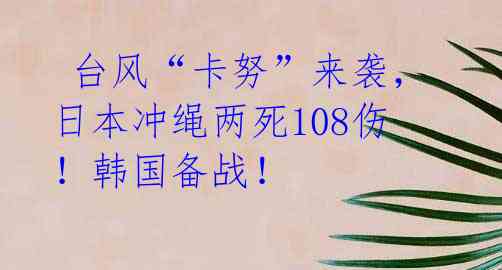 台风“卡努”来袭,日本冲绳两死108伤!韩国备战!