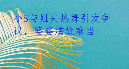小S与姐夫热舞引发争议，婆婆尴尬难当
