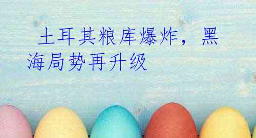 土耳其粮库爆炸,黑海局势再升级