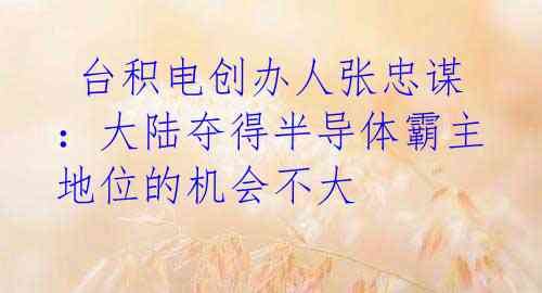 台积电创办人张忠谋:大陆夺得半导体霸主地位的机会不大