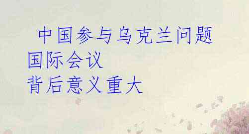 中国参与乌克兰问题国际会议 背后意义重大