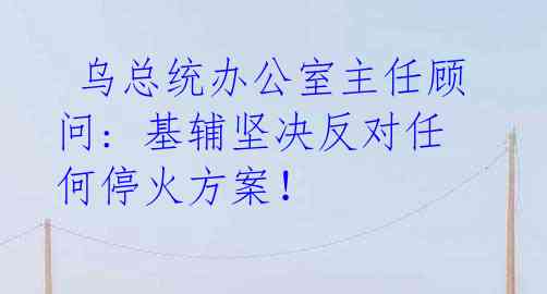 乌总统办公室主任顾问: 基辅坚决反对任何停火方案!