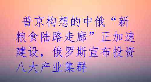  普京构想的中俄“新粮食陆路走廊”正加速建设，俄罗斯宣布投资八大产业集群 