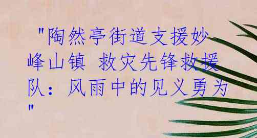 "陶然亭街道支援妙峰山镇 救灾先锋救援队:风雨中的见义勇为"