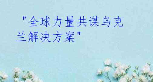 "全球力量共谋乌克兰解决方案"
