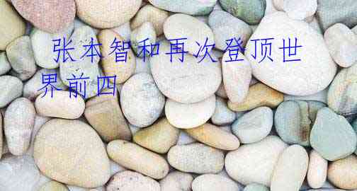  张本智和再次登顶世界前四