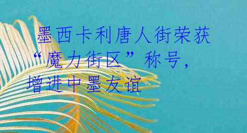 墨西卡利唐人街荣获“魔力街区”称号, 增进中墨友谊