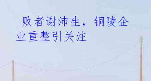 败者谢沛生,铜陵企业重整引关注