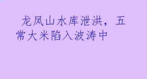 龙凤山水库泄洪,五常大米陷入波涛中