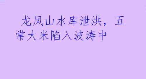  龙凤山水库泄洪，五常大米陷入波涛中 