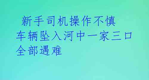 新手司机操作不慎 车辆坠入河中一家三口全部遇难