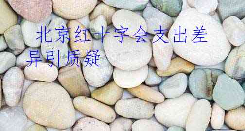北京红十字会支出差异引质疑