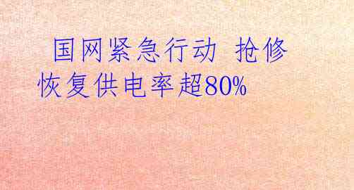  国网紧急行动 抢修恢复供电率超80% 