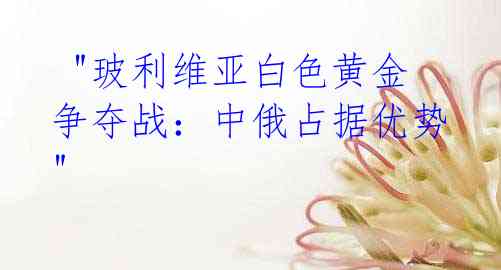 "玻利维亚白色黄金争夺战:中俄占据优势"