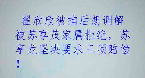  翟欣欣被捕后想调解被苏享茂家属拒绝，苏享龙坚决要求三项赔偿！ 