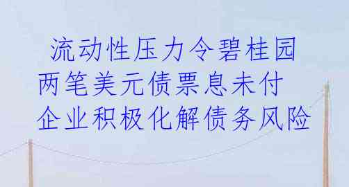 流动性压力令碧桂园两笔美元债票息未付 企业积极化解债务风险