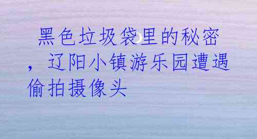 黑色垃圾袋里的秘密,辽阳小镇游乐园遭遇偷拍摄像头