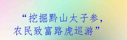 “挖掘黔山太子参,农民致富路虎巡游”