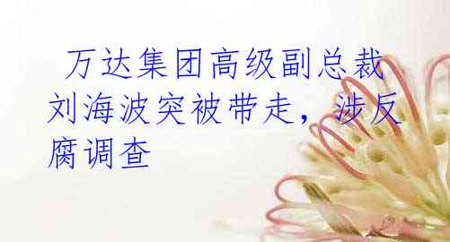 万达集团高级副总裁刘海波突被带走,涉反腐调查