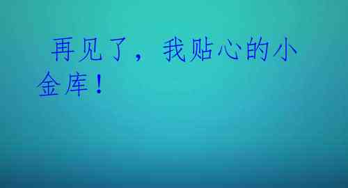 再见了,我贴心的小金库!