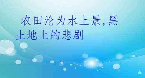 农田沦为水上景,黑土地上的悲剧
