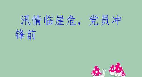 汛情临崖危,党员冲锋前