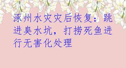 涿州水灾灾后恢复:跳进臭水坑,打捞死鱼进行无害化处理