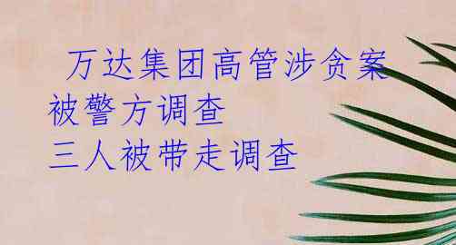 万达集团高管涉贪案被警方调查 三人被带走调查