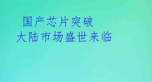 国产芯片突破 大陆市场盛世来临