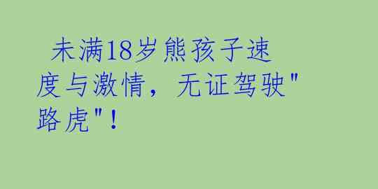  未满18岁熊孩子速度与激情，无证驾驶"路虎"！ 