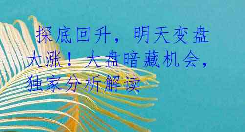  探底回升，明天变盘大涨！大盘暗藏机会，独家分析解读 