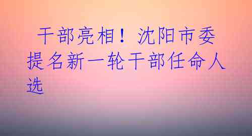 干部亮相!沈阳市委提名新一轮干部任命人选