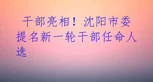  干部亮相！沈阳市委提名新一轮干部任命人选 