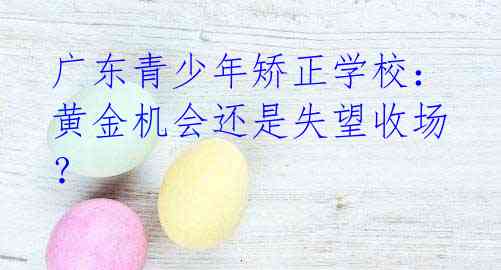 广东青少年矫正学校:黄金机会还是失望收场?