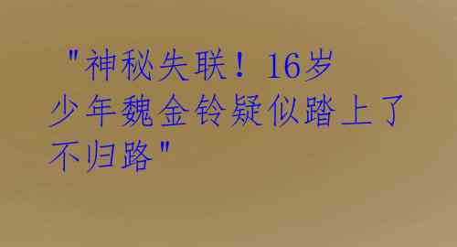 "神秘失联!16岁少年魏金铃疑似踏上了不归路"