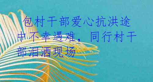  包村干部爱心抗洪途中不幸遇难，同行村干部泪洒现场 