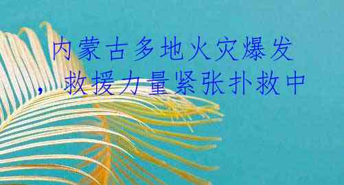 内蒙古多地火灾爆发,救援力量紧张扑救中